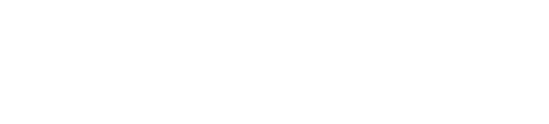 Logo Bumax